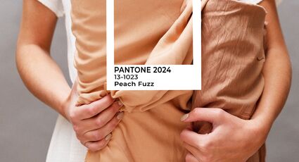PANTONE назвал главный цвет