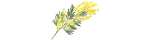 Дизайн без названия - 2024-03-06T130858.379.png