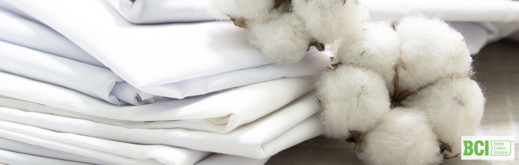 cotton5.jpg